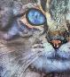 Preview: bild-holzpuzzle-katze-b